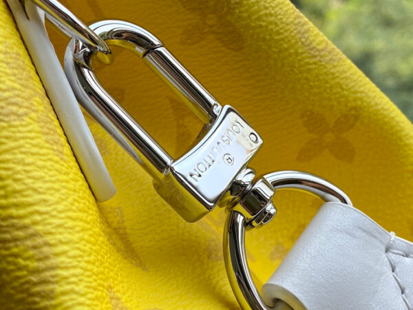 Louis Vuitton Carry It Tote