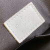 Louis Vuitton Carry It Tote