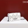 Dior Caro