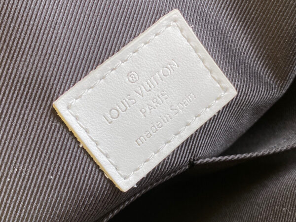 Louis Vuitton Carry It Tote