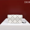 Dior Caro