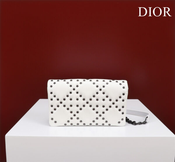 Dior Caro