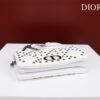 Dior Caro