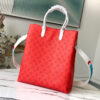 Louis Vuitton Carry It Tote
