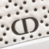 Dior Caro