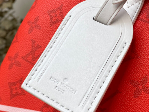 Louis Vuitton Carry It Tote