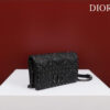 Dior Caro