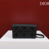 Dior Caro