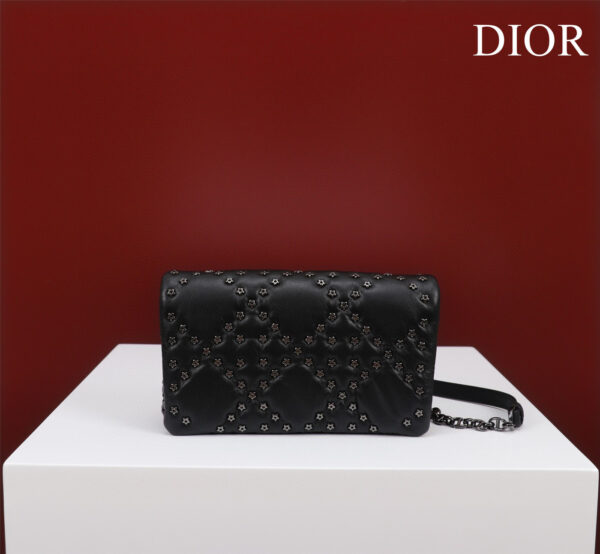 Dior Caro