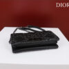 Dior Caro
