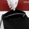Dior Caro