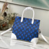 Louis Vuitton Carry It Tote