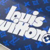 Louis Vuitton Carry It Tote