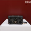 Dior Caro