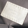 Louis Vuitton Carry It Tote