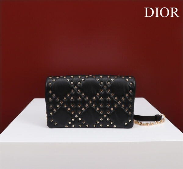 Dior Caro