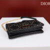 Dior Caro