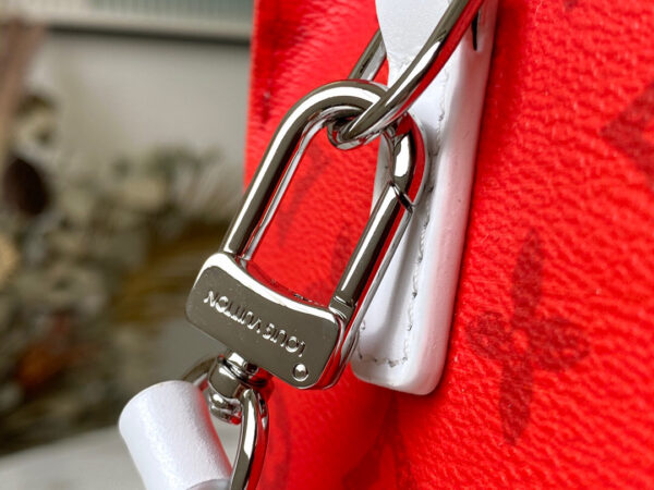 Louis Vuitton Carry It Tote
