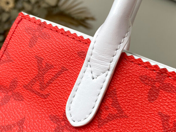 Louis Vuitton Carry It Tote