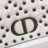 Dior Caro