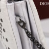 Dior Caro