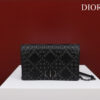 Dior Caro