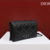 Dior Caro