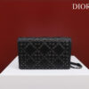 Dior Caro