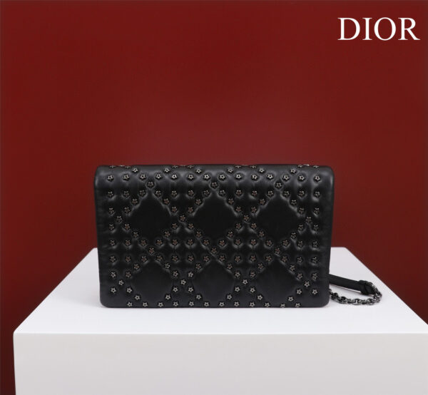 Dior Caro