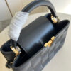 Louis Vuitton Capucines