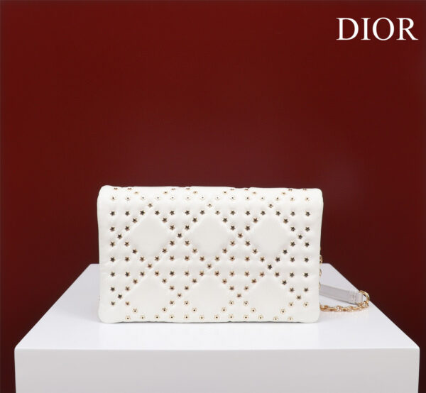 Dior Caro