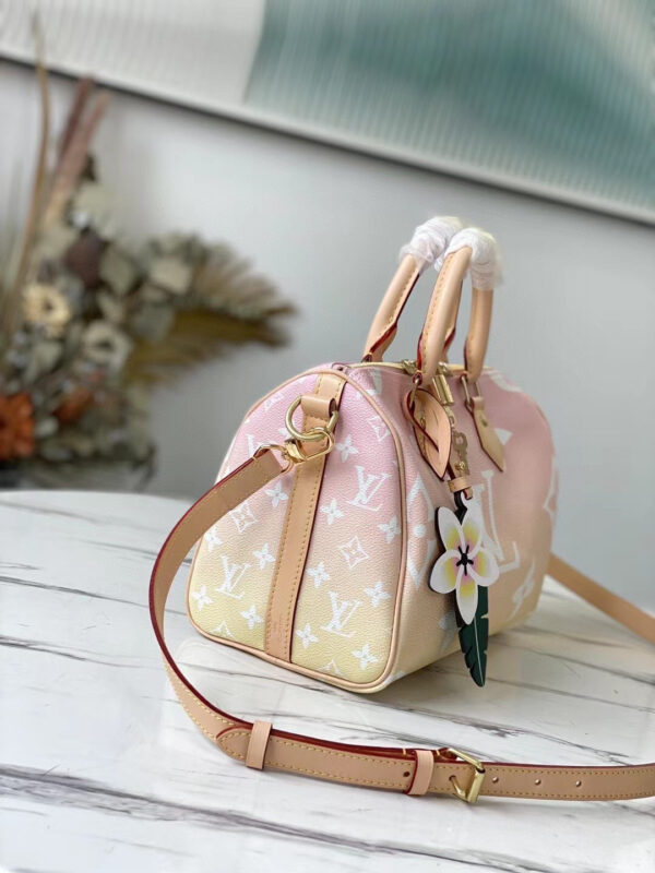 Louis Vuitton Speedy 25