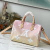 Louis Vuitton Speedy 25