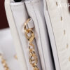 Dior Caro