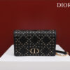 Dior Caro