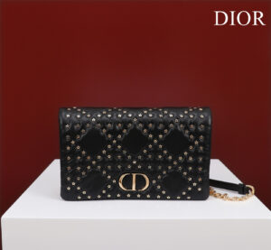 Dior Caro