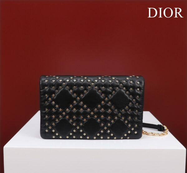 Dior Caro