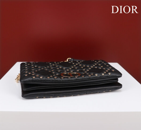 Dior Caro