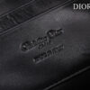 Dior Caro