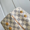 Louis Vuitton Cabas