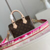 Louis Vuitton Speedy 20