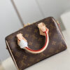Louis Vuitton Speedy 20