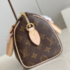 Louis Vuitton Speedy 20
