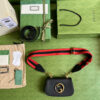 Gucci Blondie mini