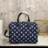Louis Vuitton Speedy 25