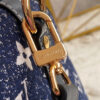 Louis Vuitton Speedy 25