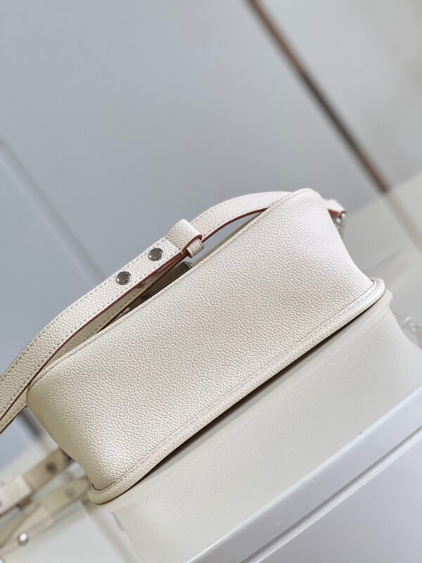 Louis Vuitton Buci Bag