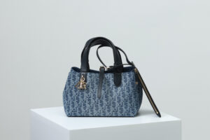 Dior Toujours Bag Small