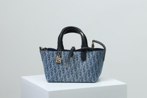 Dior Toujours Bag Small