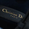 Dior Toujours Bag Small